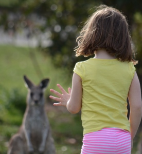 My six year old meeting a kangaroo.